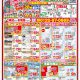12月 最新チラシ情報