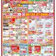 2月 最新チラシ情報