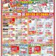 4月 最新チラシ情報