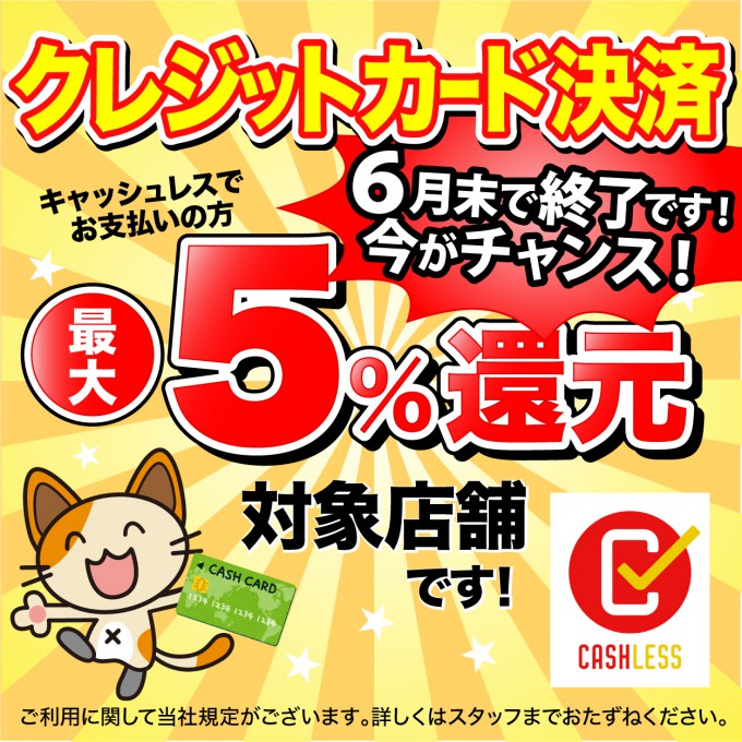 宮城県 最大5 還元 クレジットカード決済始めました 陽だまり