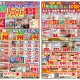 すま～と・リフォームチラシ◆2018年6月号