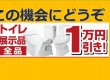 展示品処分キャンペーン！