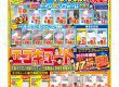 2025年1-2月号　定番チラシ