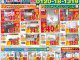 2025年保存版チラシ7月版配信のお知らせ