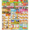【松原ショールーム】最新チラシ掲載いたしました