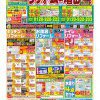 【松原ショールーム】最新チラシ掲載いたしました