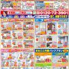 11月折込チラシ【太子町】