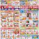 ９月折込チラシ【太子町】