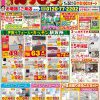 【1月】最新のチラシ情報