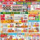 【1月】最新のチラシ情報