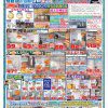 【最新チラシ公開】夏の増改築・外壁塗装お祭りセール！大型補助金も対応