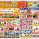 【最新チラシ情報】3月