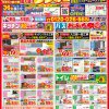 3月のチラシ