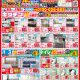 4月のチラシ！