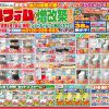 5月のチラシ！