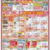 8月　最新チラシ情報