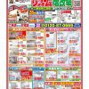 ８月　最新チラシ情報