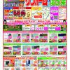 【古川店】定番チラシ