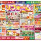 【水廻りリフォーム専門店のハピラク古川店】得トクリフォーム相談会