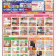 【水廻りリフォーム専門店のハピラク古川】2025年9月最新定番チラシ！