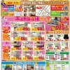 2023年夏の最新チラシ！