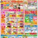2025年 春の最新チラシ！