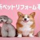 【コラム】最新のペットリフォーム事情