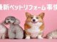【コラム】最新のペットリフォーム事情