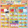 【2025.3～5月限定】リフォーム＆増改築えさか　定番チラシ情報｜宮崎市　