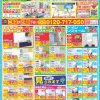 【2025.6～8月限定】リフォーム＆増改築えさか　定番チラシ情報｜宮崎市　