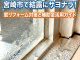 宮崎市で結露にサヨナラ！2026年版リフォーム対策と補助金活用ガイド