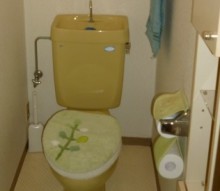古いトイレは沢山のお水を流すので高い水道代がかかってしまう。