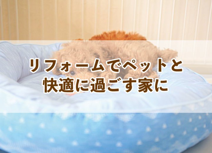 リフォームでペットと快適に過ごす家に【Re:kurasuお役立ち情報コラムVol.22】