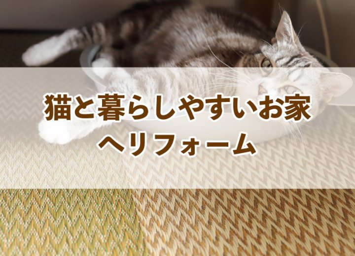 猫と暮らしやすいお家へリフォーム【Re:kurasuお役立ち情報コラムVol.68】