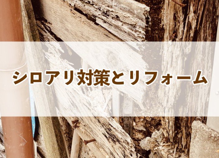 シロアリ対策とリフォーム【Re:kurasuお役立ち情報コラムVol.97】