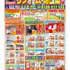リフォームショップサトケンの新定番チラシ！